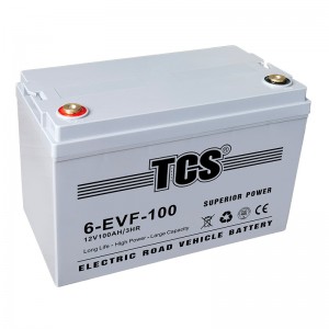 TCS綯辶6-EVF-100