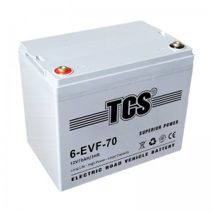 TCS綯辶6-EVF-70
